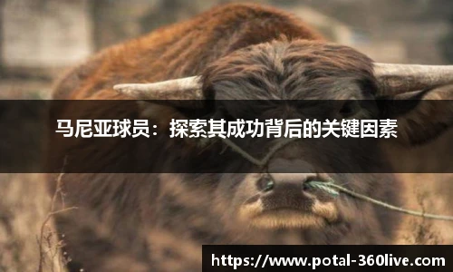 马尼亚球员：探索其成功背后的关键因素