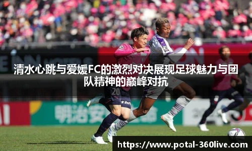 360体育