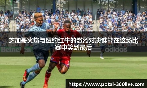 360体育